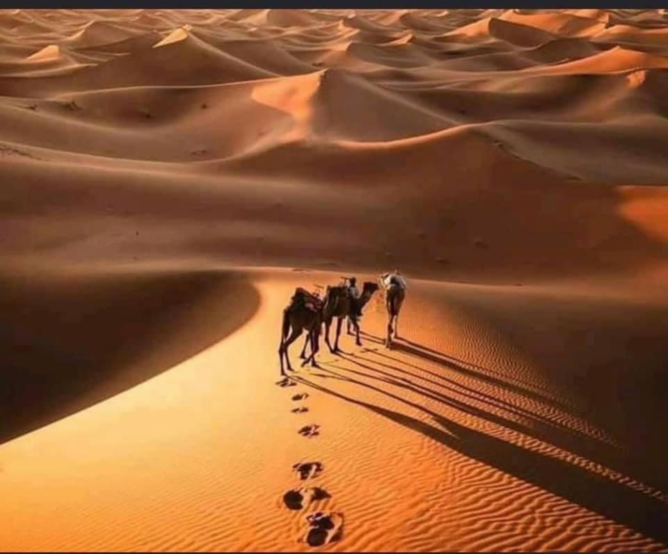 فندق Chegaga Nomad Camp El Gouera المظهر الخارجي الصورة